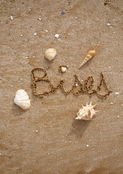 Bises en bord de mer pour un doux saludo